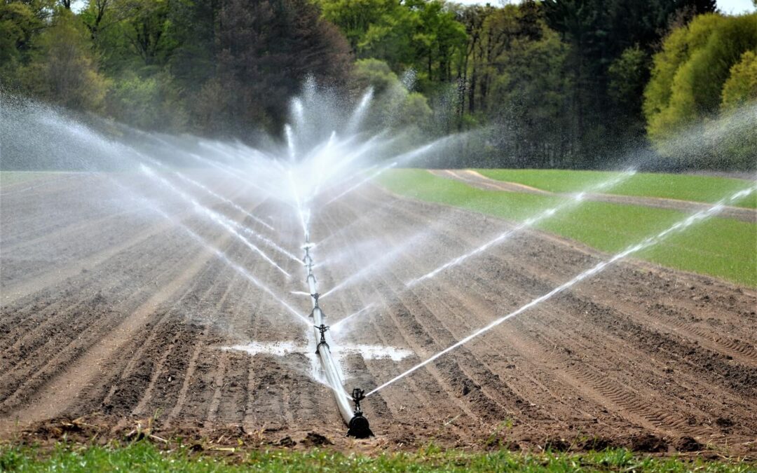 Seasonal Tips for Maintaining Your Irrigation System