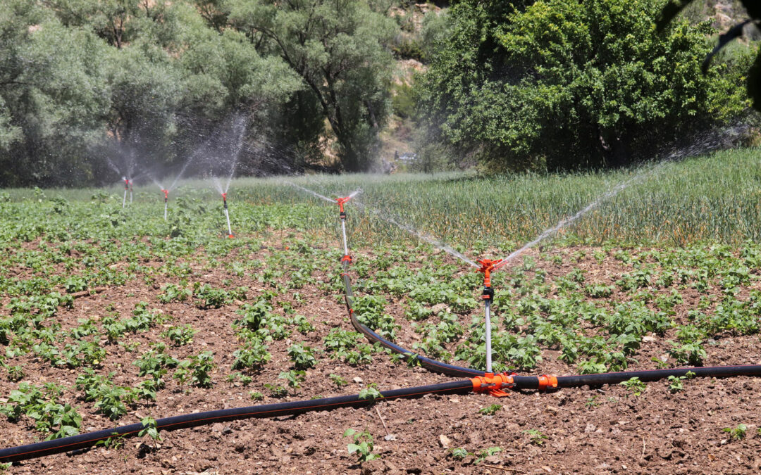 Top Tips for Choosing the Right Irrigation System for Your Development