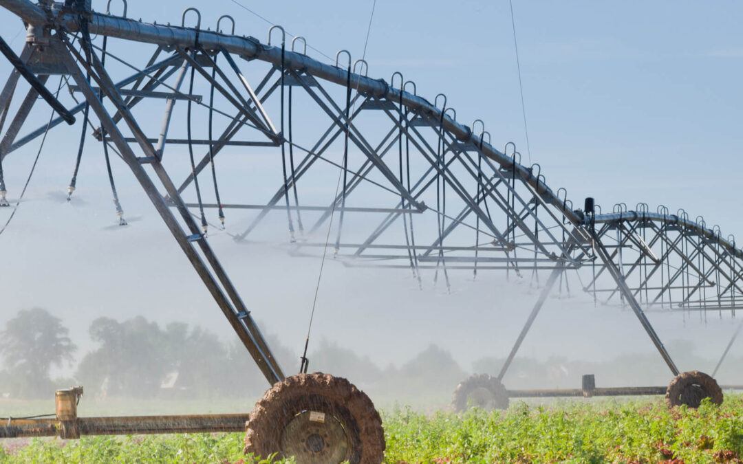 Why Gravity Irrigation Systems Are Ideal for Large-Scale Agricultural Projects